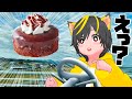 😺🚗ちょっとコメダまでドライブ行ってくる‼🚗 田舎道を走る猫