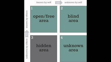 The JoHari Window: A Tool for Increased Self-Awareness by Rhonda Peterson