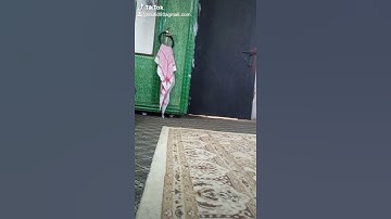 سورة.الكافرون.الشيخ عبد الرحمن السديس