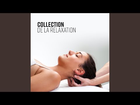 Méditations quotidiennes