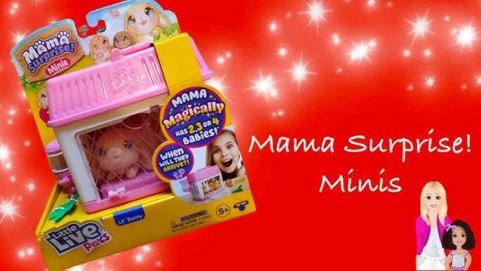 Little Live Pets Mama Surprise Minis, Feed and Nurture a Lil' Bunny Inside  Hutch