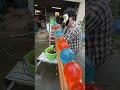 Marble Run ASMR Ball Evangelist7