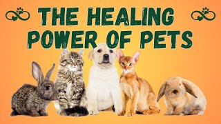 🐾 The Healing Power of Pets! 🐾 #wellnessforlife #health #healthtips #facts #explore #body