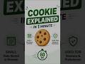 Cookie || Easy Explanation || MERN || Web development || Authorization