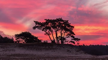 لمن يبحث عن راحة البال 💙 | من اجمل تلاوات القارىء اسلام صبحى