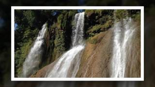 Travel Insurance Policy - The Features And Benefits Of Travel Insurance - Travel Player