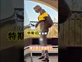 特斯拉隨時都在為消費者提供更大的方便（YT：TeslaFlex）