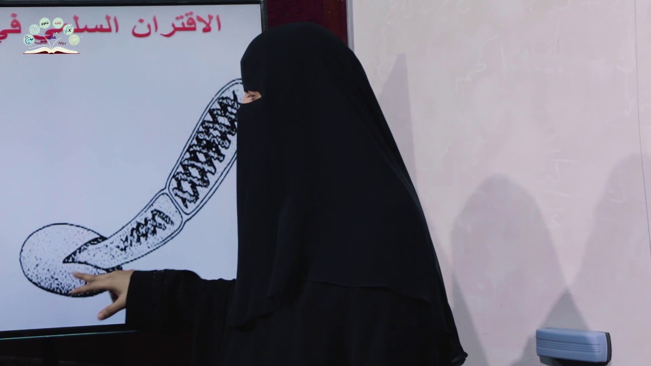 علم الأحياء | التكاثر الجنسي في الطلائعيات