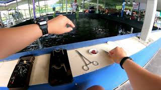 CRAZY 1HR PRAWNING WITH DOUBLE HOOK TIANPING / Singapore Riviera Prawning