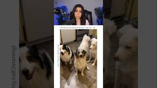 SHE HAS A BLIND DOG 😭