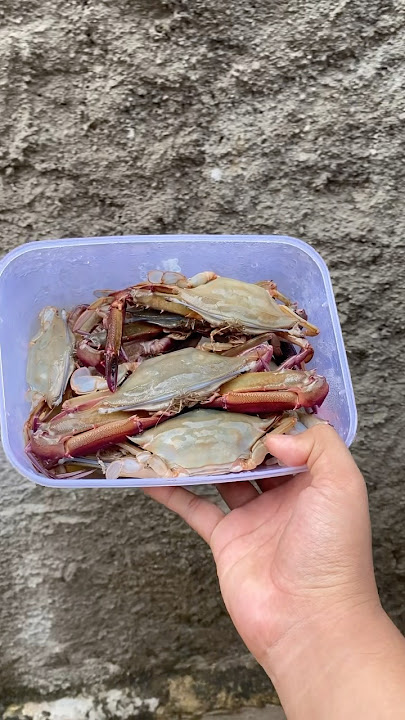 Crab cooking tutorial #tutorial #crab #crabcooking #comedy #shorts