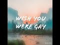 Billie Eilish-Wish you were gay