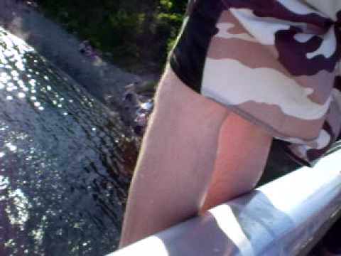 Bridge Jumping - Albert Bridge, NS