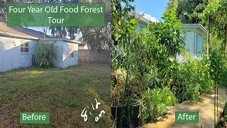 4 Year Old Food Forest Tour  Our first one!  Central Florida Zone 10 A