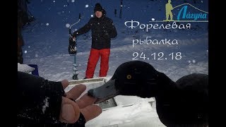 Форель на поставушки в ПРиО Лагуна Еганово 24.12.18