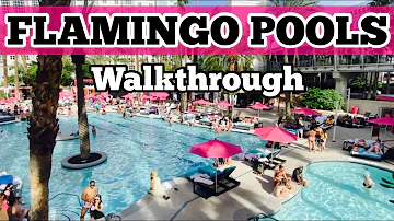 FLAMINGO HOTEL POOLS WALKTHROUGH | GO Pool DayClub & Beach Club 2021