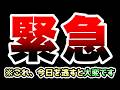 今日はアレが来ます!見逃さないでください!!! にゃんこ大戦争
