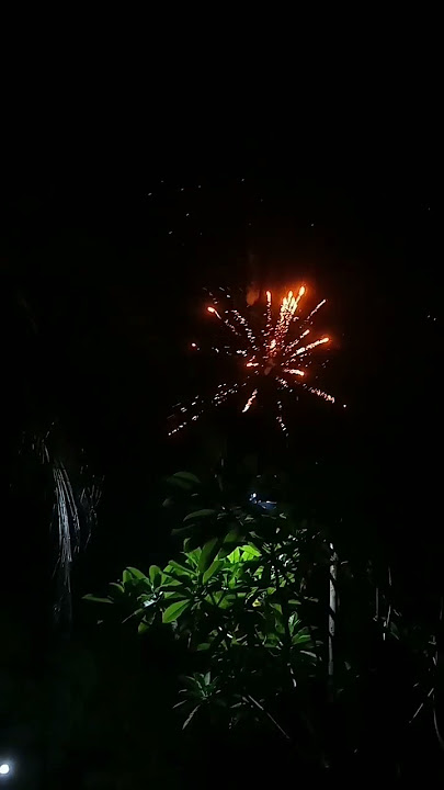 2025 🎊🎉🎆🎇✨ Cepat Terkabul Doa dan Keinginan 🤲🏻 Aamiin #KembangApiTahunBaru #2025 #1January2025