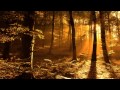 Igor Krutoy - Autumn Sonata HD