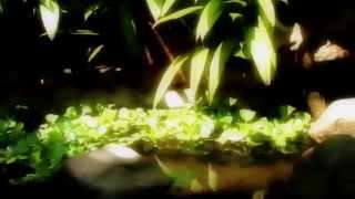 Kamala - Consequences (Official Video)