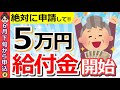 【6月下旬から開始！】政府から5万円支給！年金受給者も対象の調整給付金とは？対象者・申請方法を解説！【定額減税/補足給付金】
