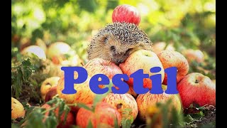 Pestil Qaqı - Pestil. Halal.