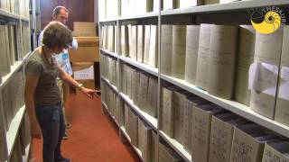 Thesaurus Project [English] - SNS - Searching the archives [i4]