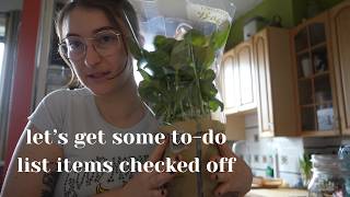 spend 24 hours with me getting stuff done || laundry, library haul, repotting