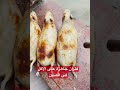 الصينين بياكلو كل حاجة حتى الفئران  