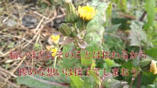 漂っては消える唄