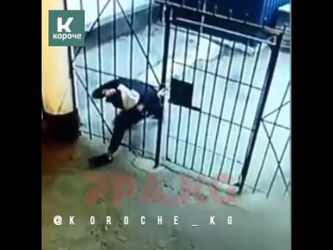 Видео побега кыргызстанца из изолятора попало в Сеть