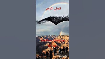 القران الكريم بصوت الشيخ عبدالباسط عبدالصمد رحمه الله عليه