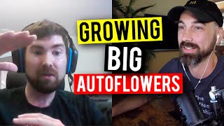 How To Grow Huge Autoflower Plants! (Garden Talk Episode #20)