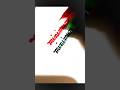 ✨ Minimum Word Writing | Beautiful Double Pen Calligraphy Art | Handwriting Practice