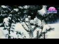 سورة الرحمن الطفلة براءة 