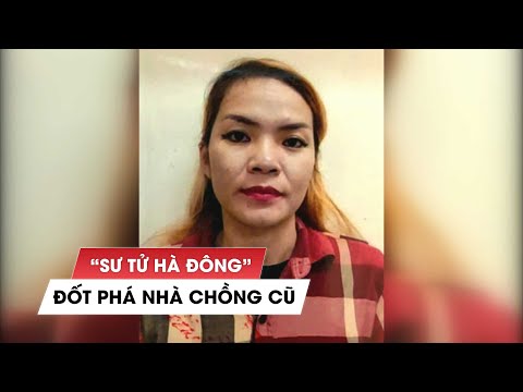 Video Tóm gọn 