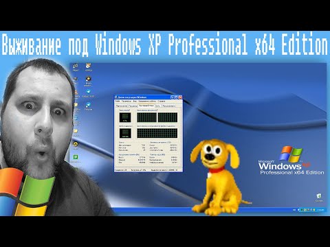 Выживание под Windows XP Professional x64 Edition в 2021 году