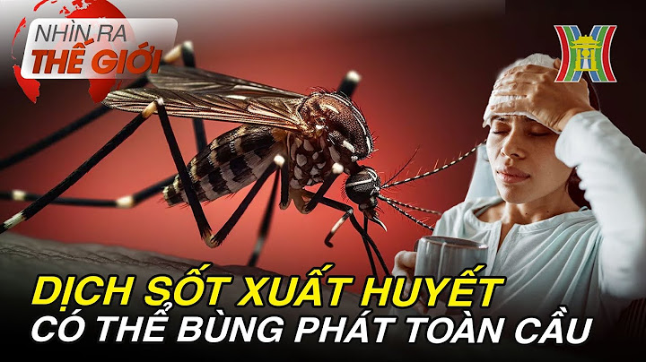 Vi khuẩn và virus khác nhau như thế nào năm 2024