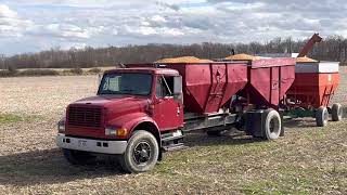 Shelling Corn November 2022