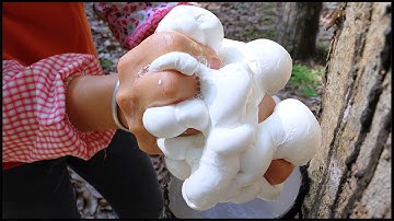 Satisfying Natural Rubber Production Process !  Asia