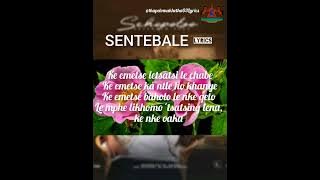 Sannere -- Sentebale Lyrics 