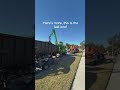 Tree removal and grinding in Winter Springs, FL
