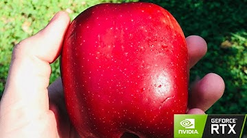 1 Bit 2 Bit 4 Bit 8 Bit 16 BIT 32 Bit 128 Bit 256 Bit 512 Bit 1024 Bit 2048 Bit 4096 Bit 8192 Bit