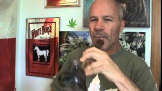 rayc: 420 bong rips and talks.