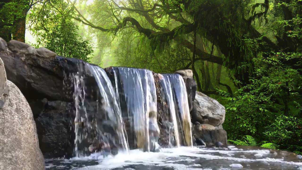 4K Green Screen / JUNGLE WATERFALL / Use for special effect / Blue