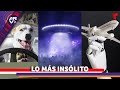 Captan OVNIS en un parque, un perro que maneja y robots que controlan la turbulencia