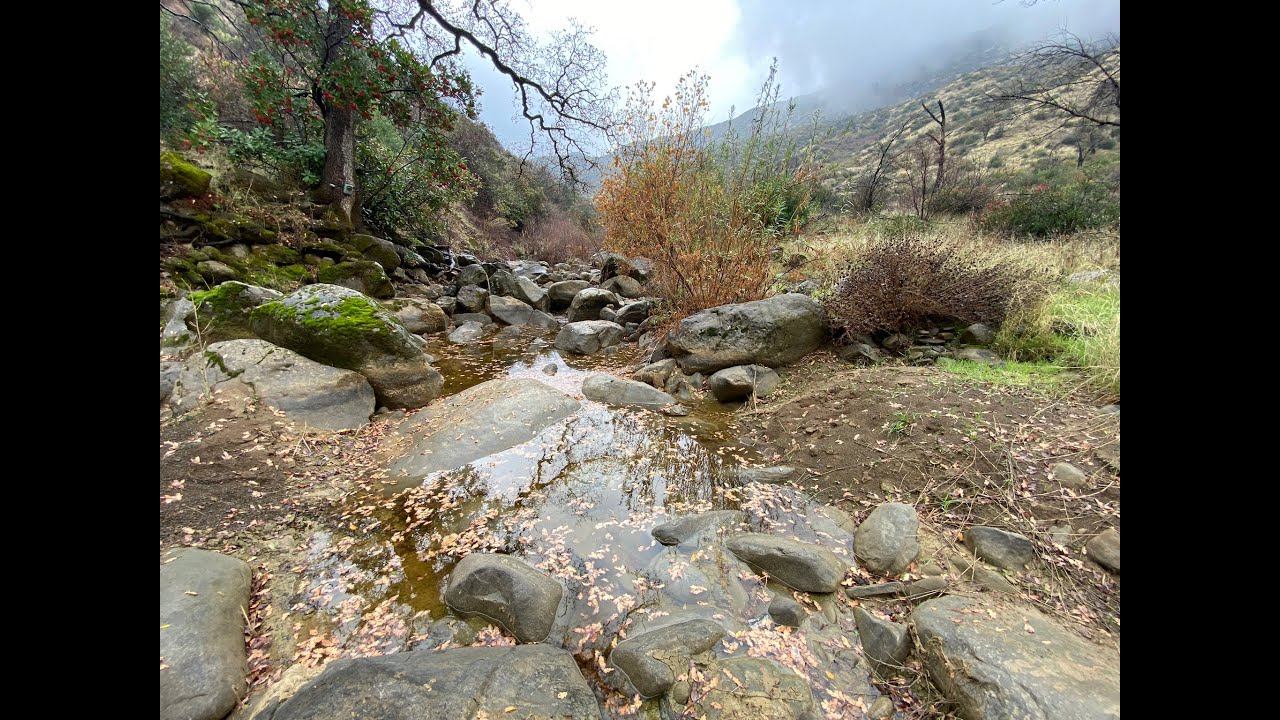 On to the Green River! Stebbins Cold Canyon Reserve creek head. YouTube