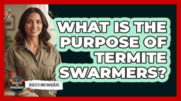 What Is The Purpose Of Termite Swarmers?