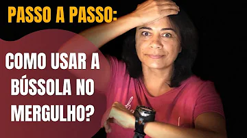 Por que a bússola sempre aponta para o polo norte do planeta?