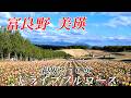 【YouTube初】ジェットコースターの路でのマルチアングル 千望峠から四季彩の丘へ~絶景ドライブフルコース! 4K